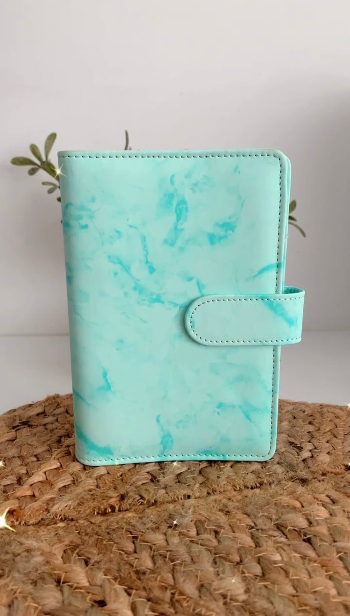 Green Marble Budget Binder