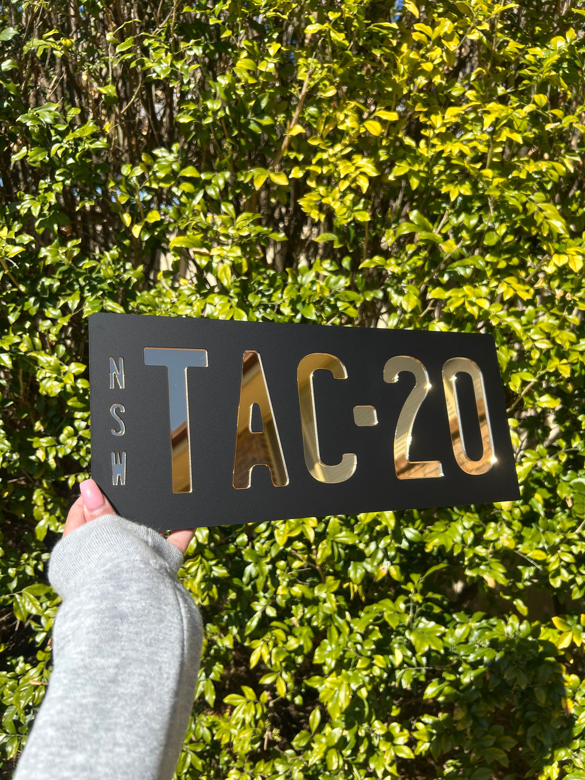 Novelty Custom Plates