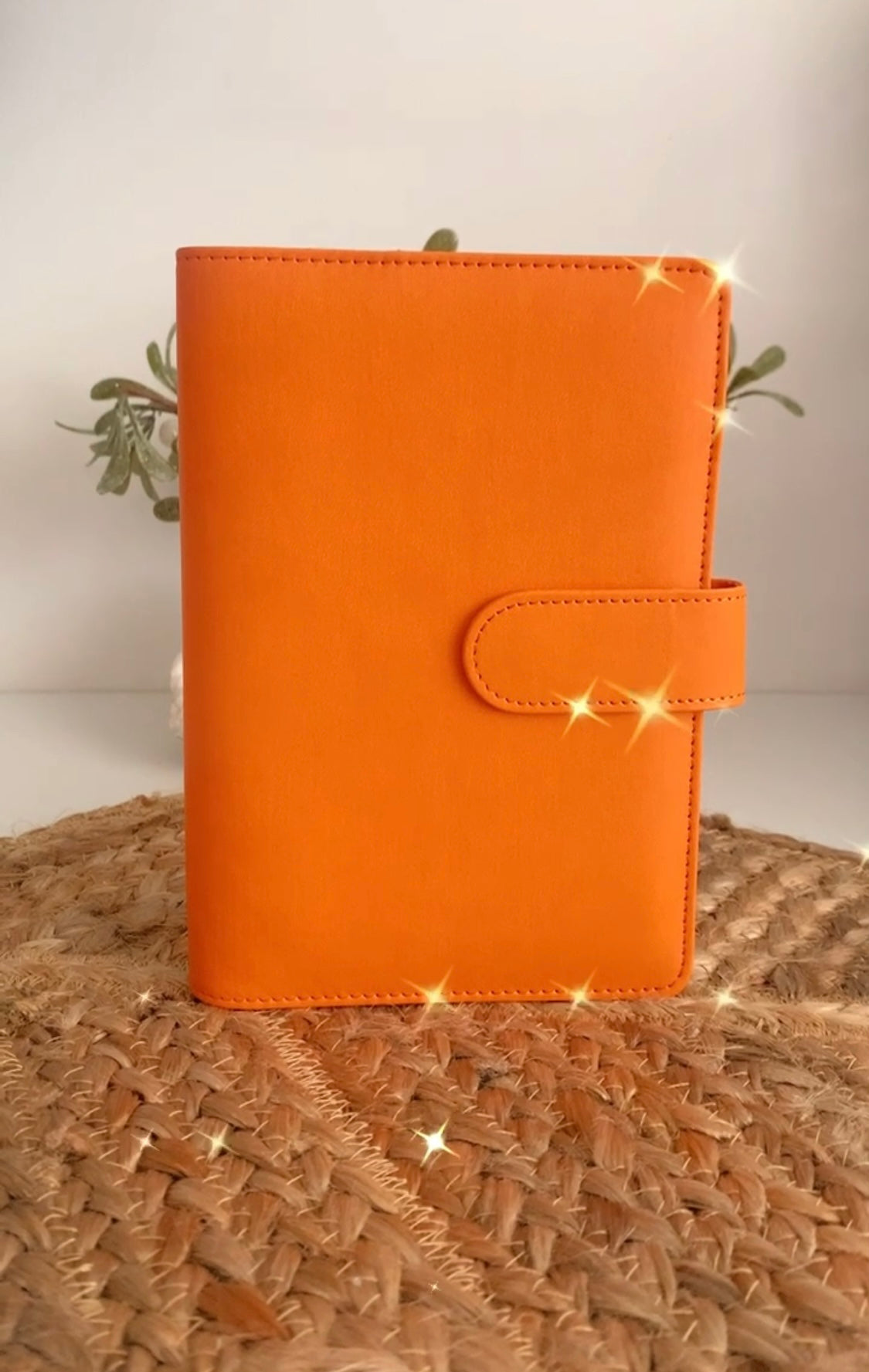 Orange A6 budget binder with five cash envelopes for cash stuffing