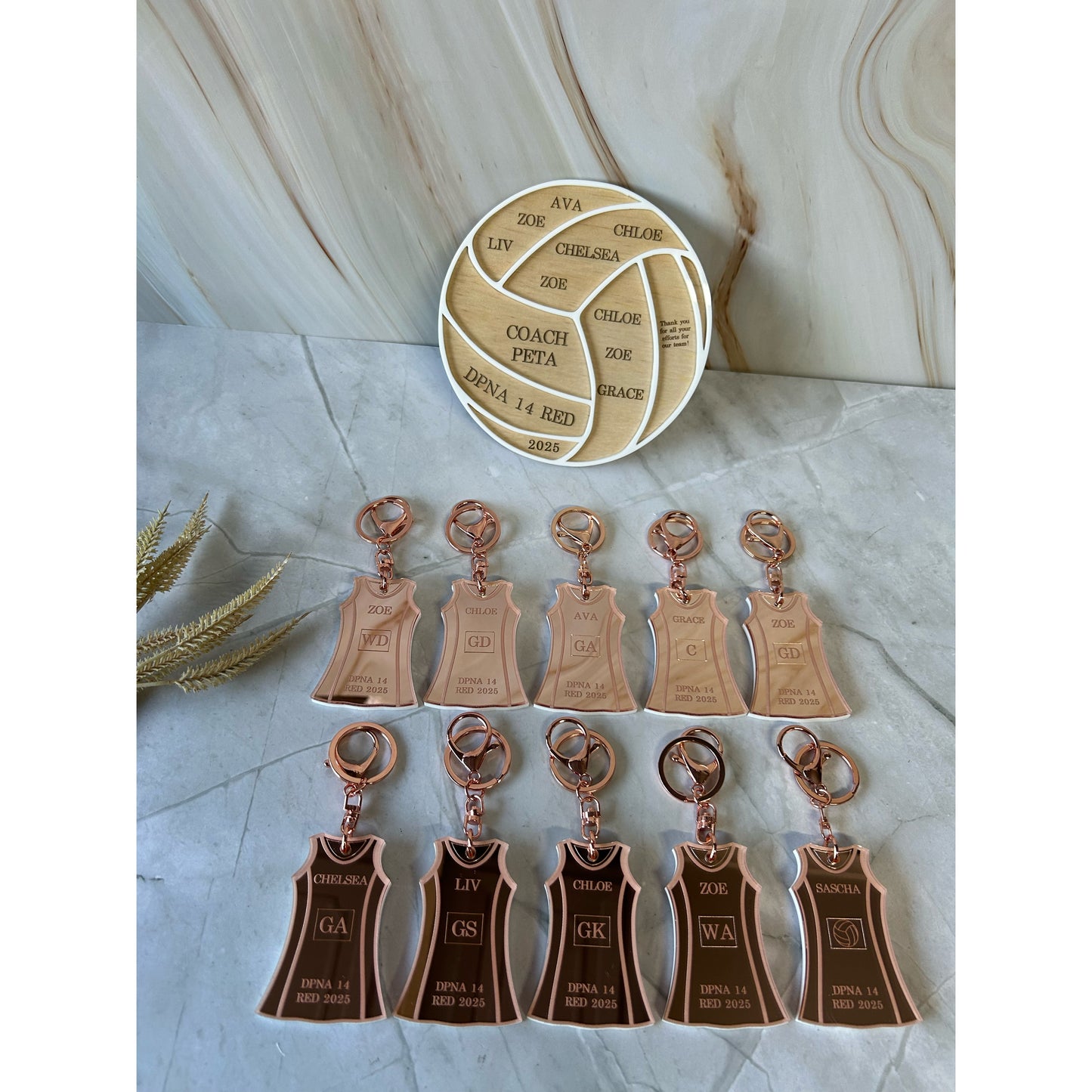 Mini Coach Plaque