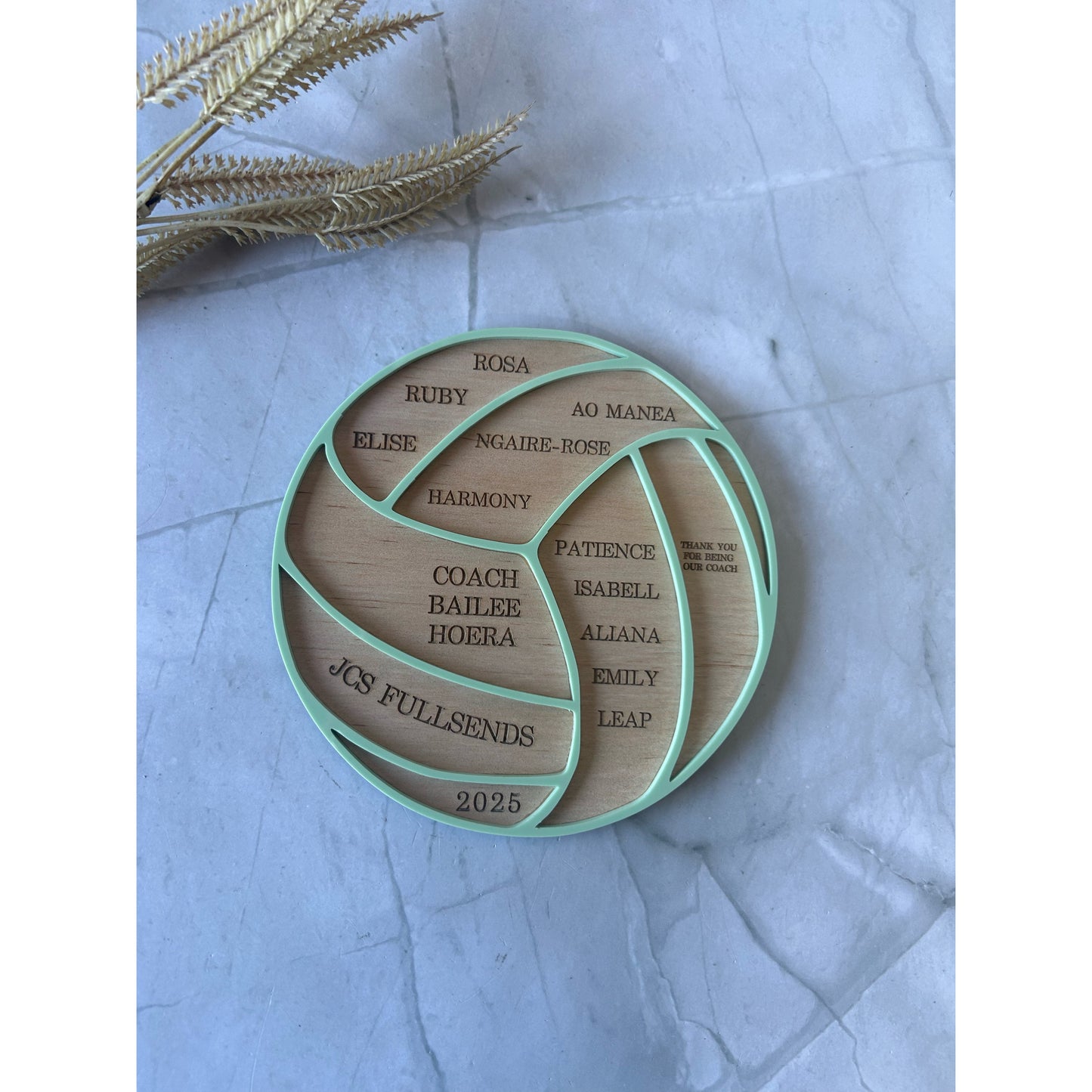 Mini Coach Plaque
