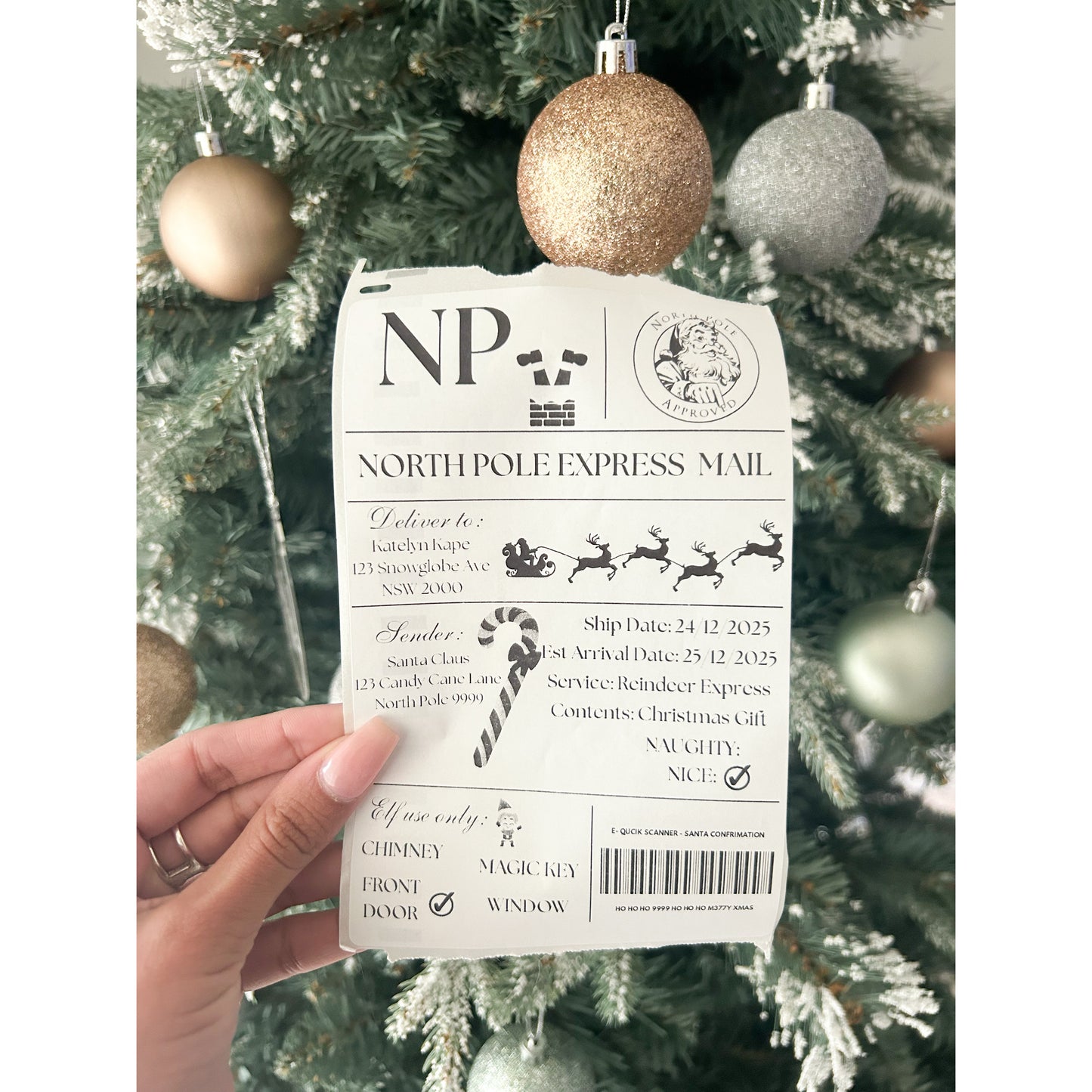 North Pole Express Mail Labels - Pk 6