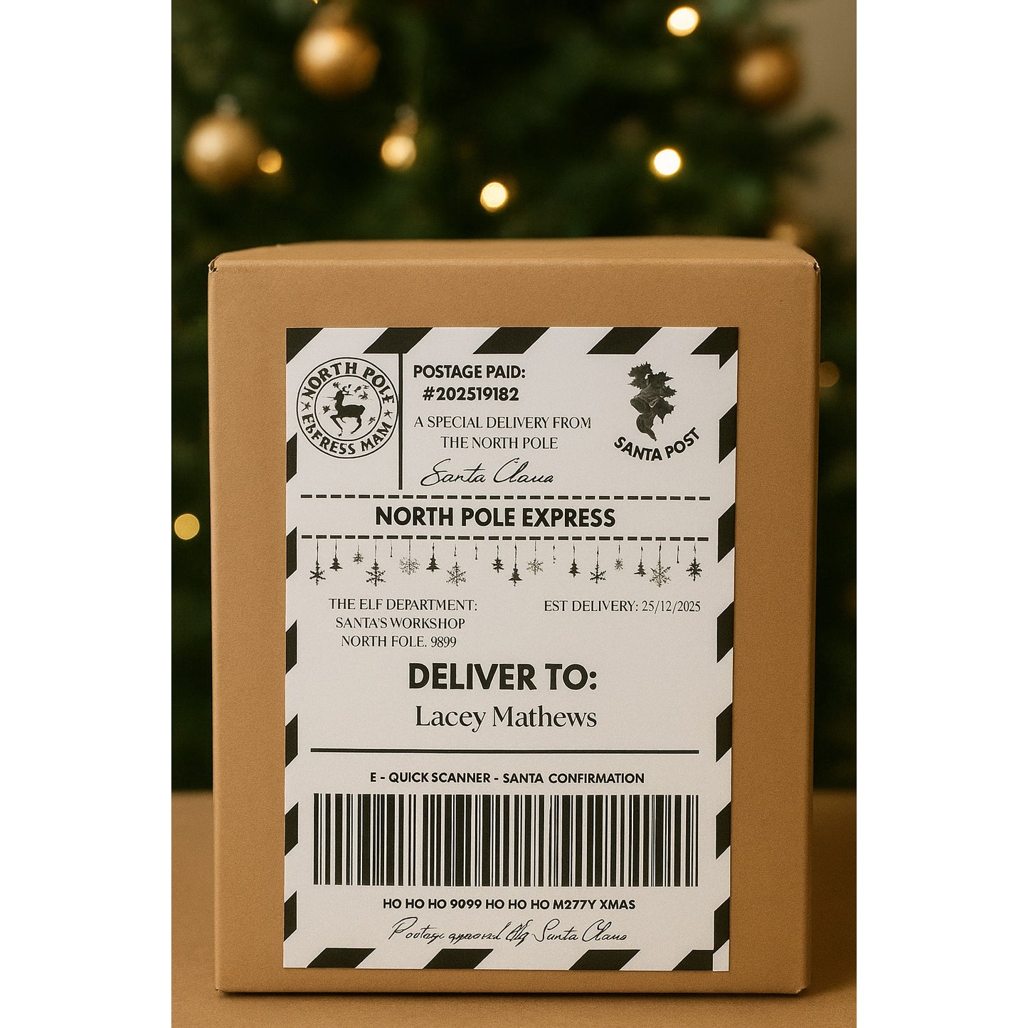 Santa Mail Shipping Labels - Pk 6