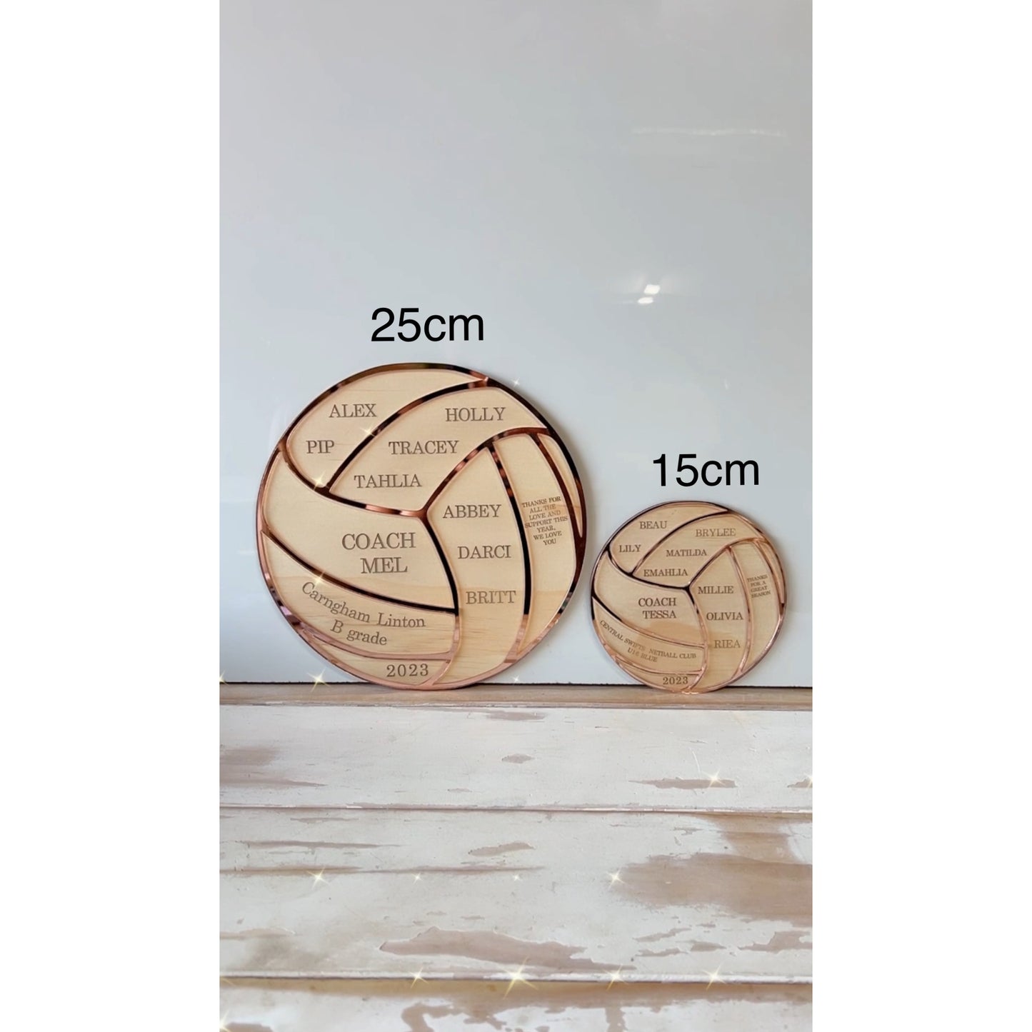 Mini Coach Plaque