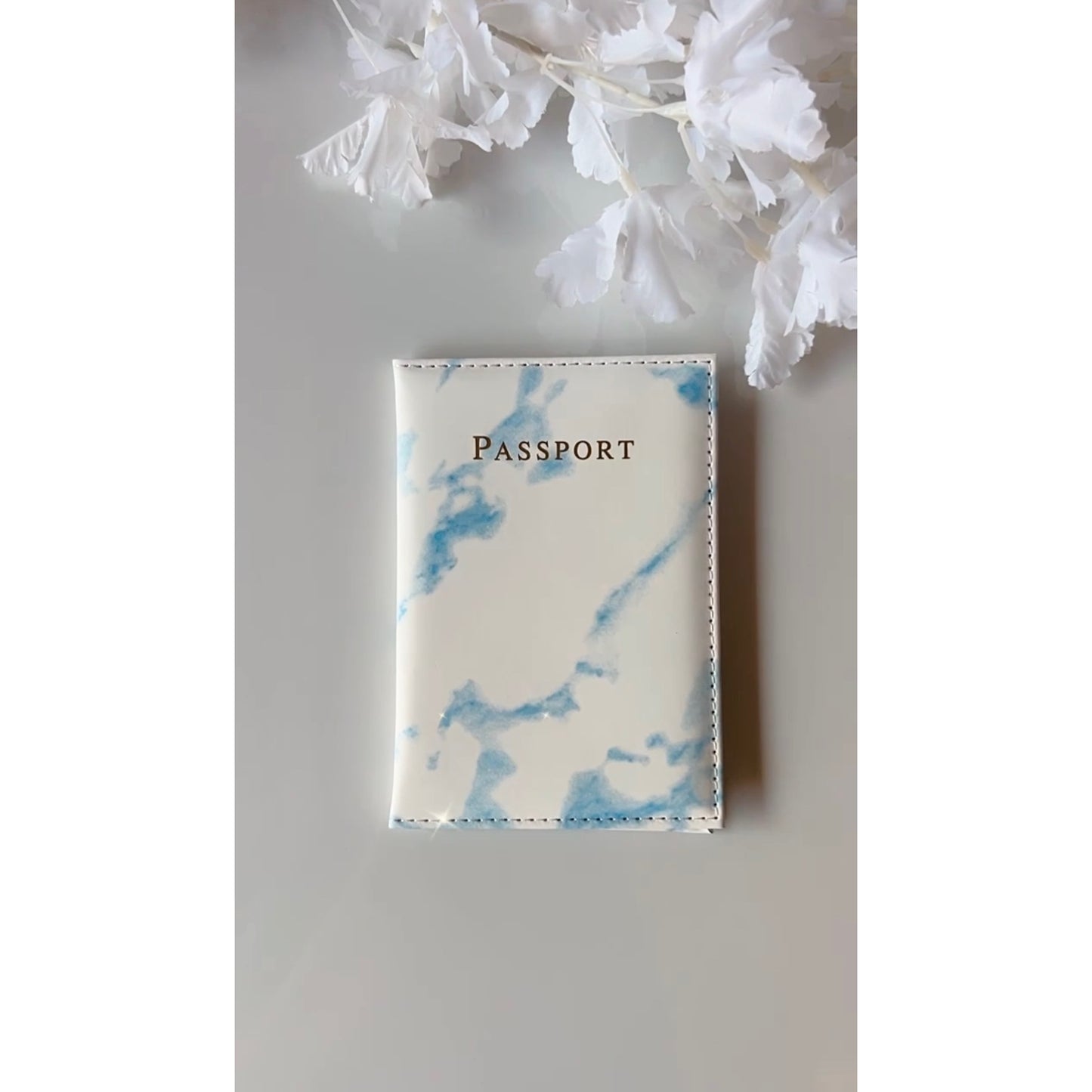 Blue Marble Passport Holder