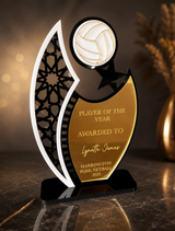 Player of the year award