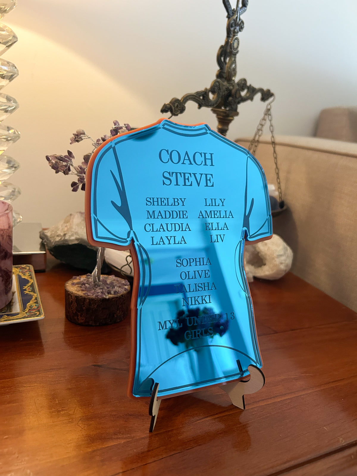 Soccer Jersey Coach Gift