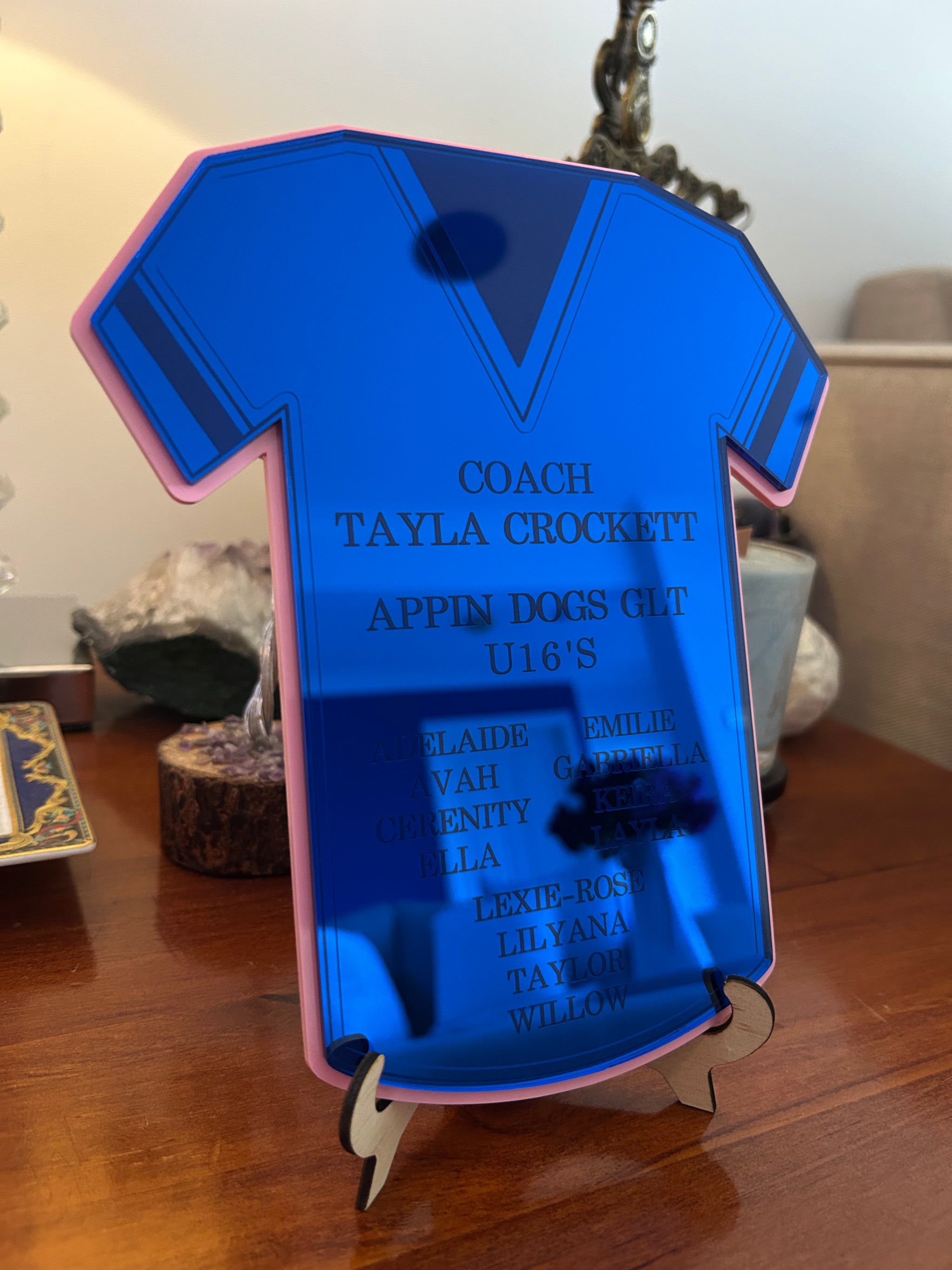 Football Jersey Coach Gift