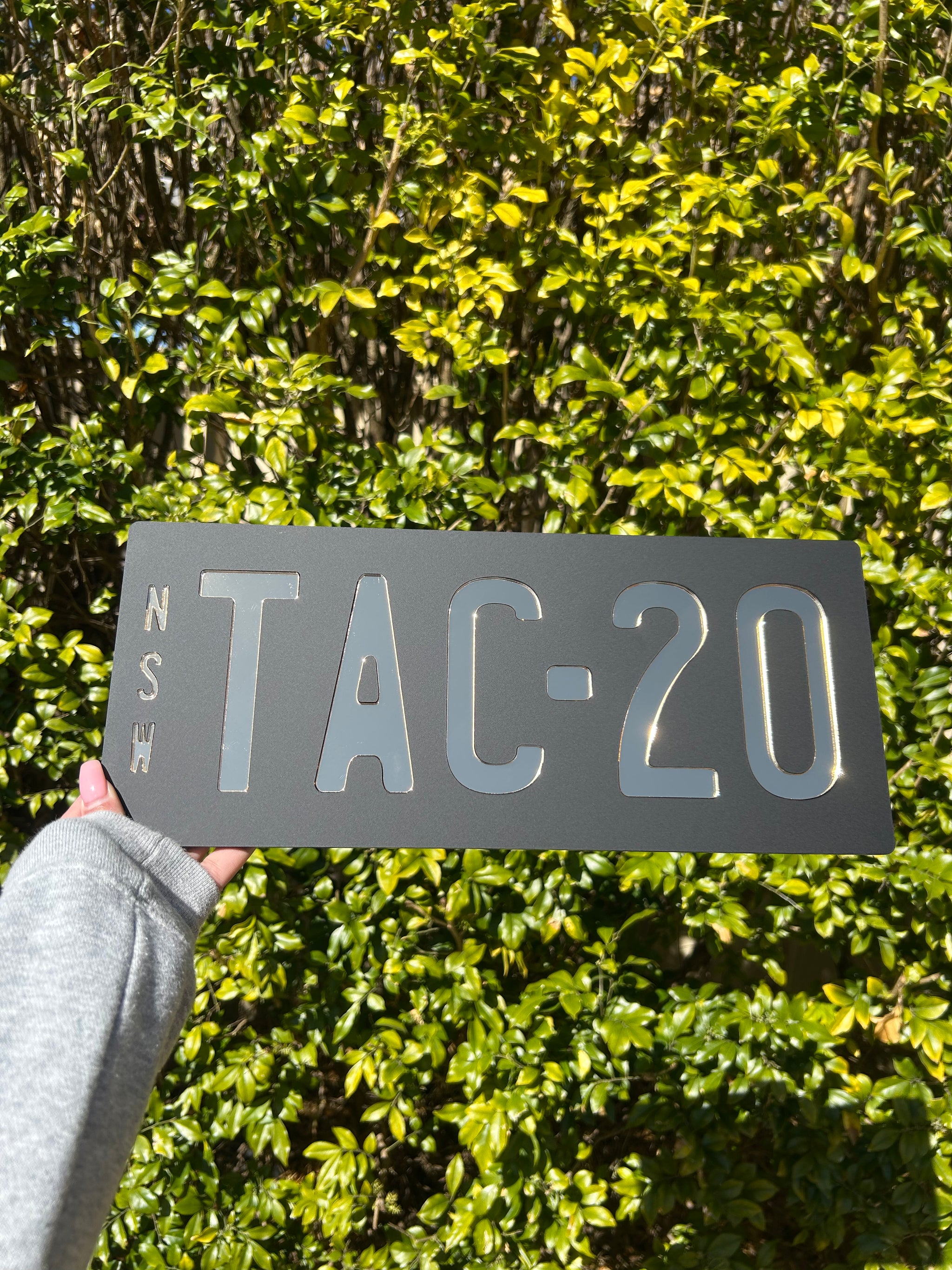 Novelty Custom Plates