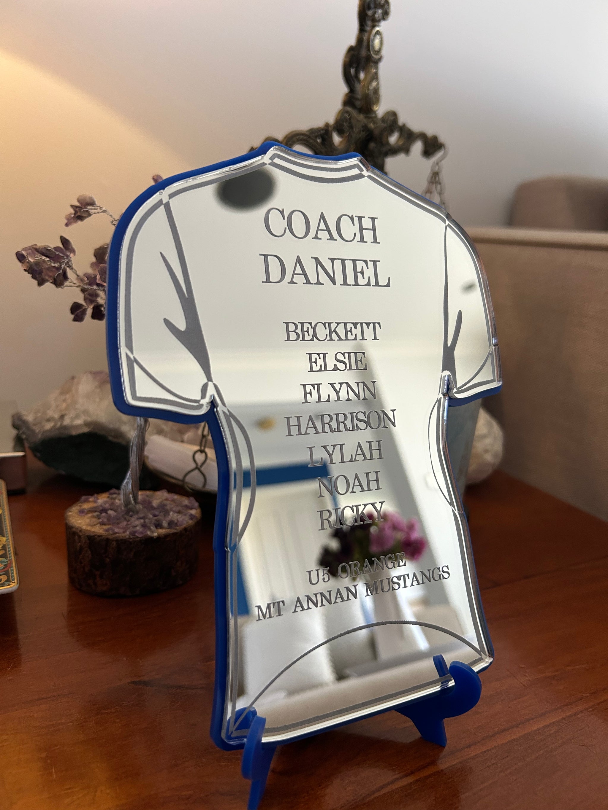 Soccer Jersey Coach Gift