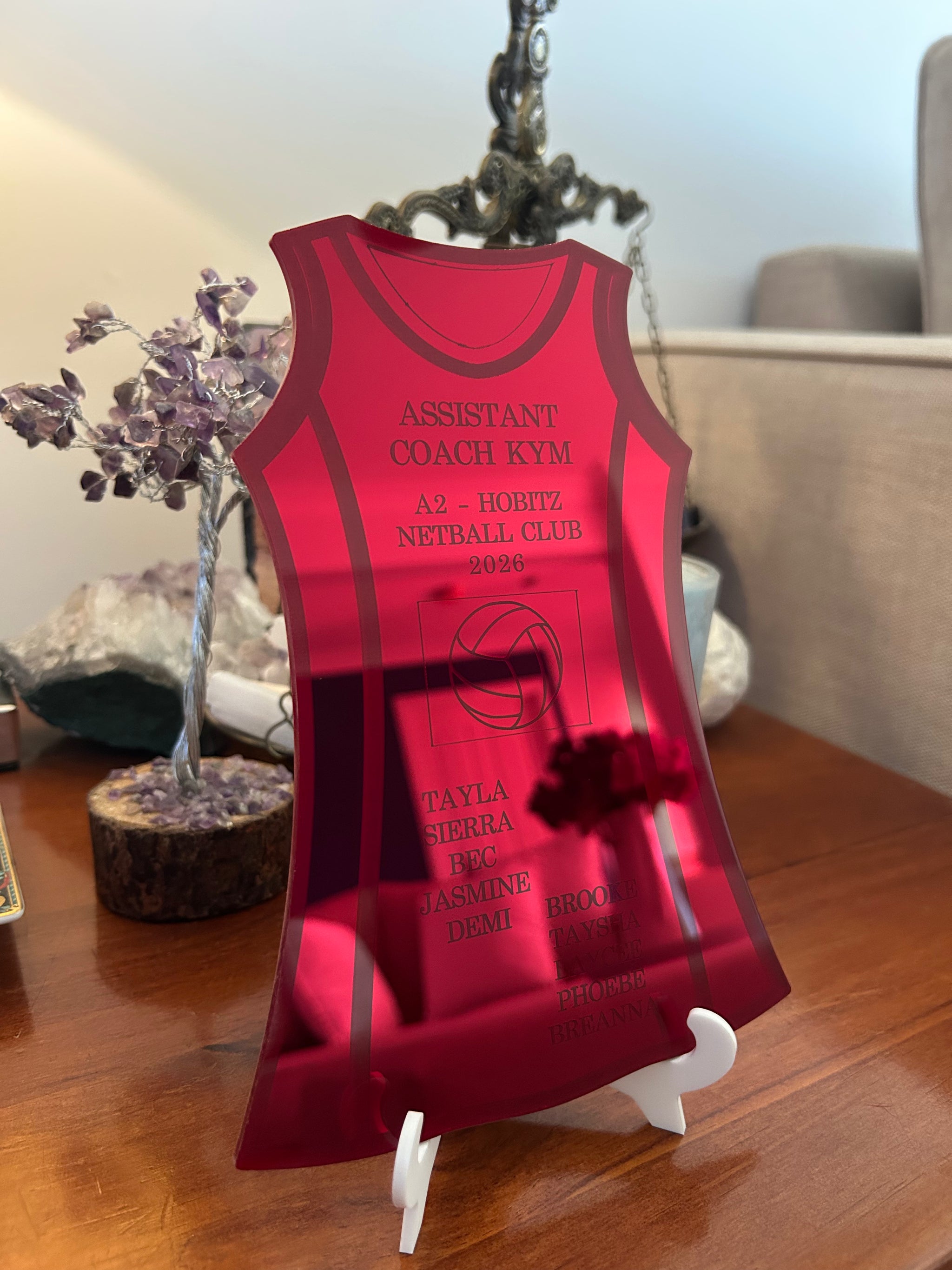 Netball Dress Coach Gift, photo 9
