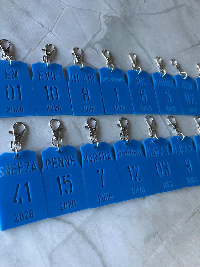 Basketball Bag Tag