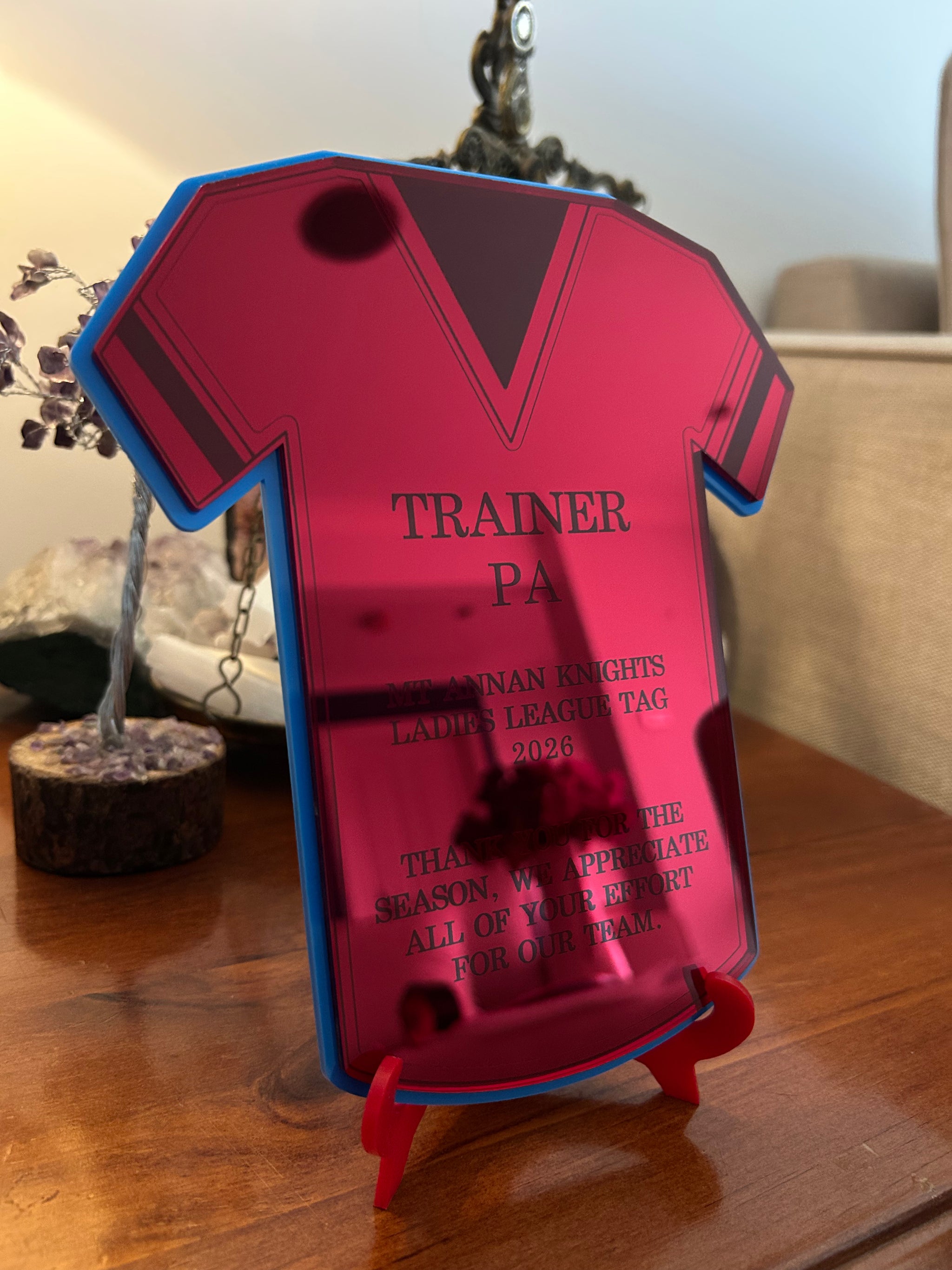 Football Jersey Coach Gift