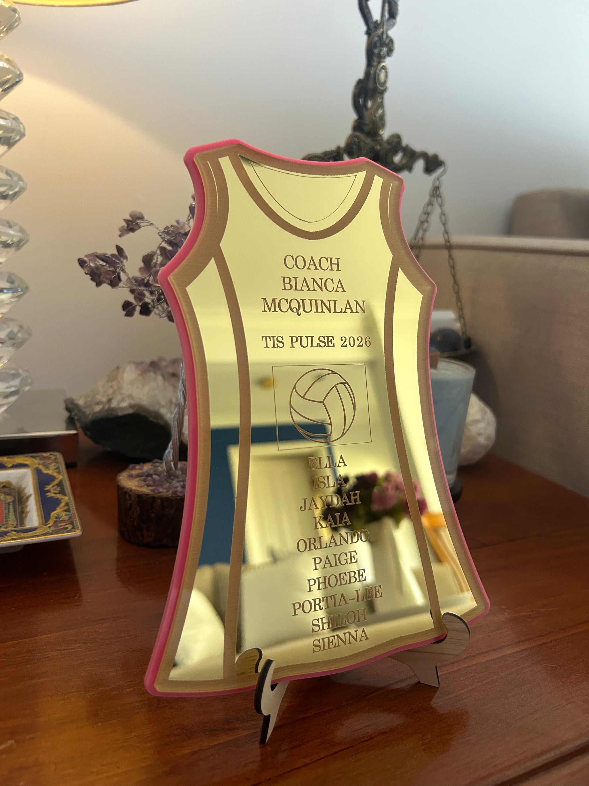 Netball Dress Coach Gift, photo 12