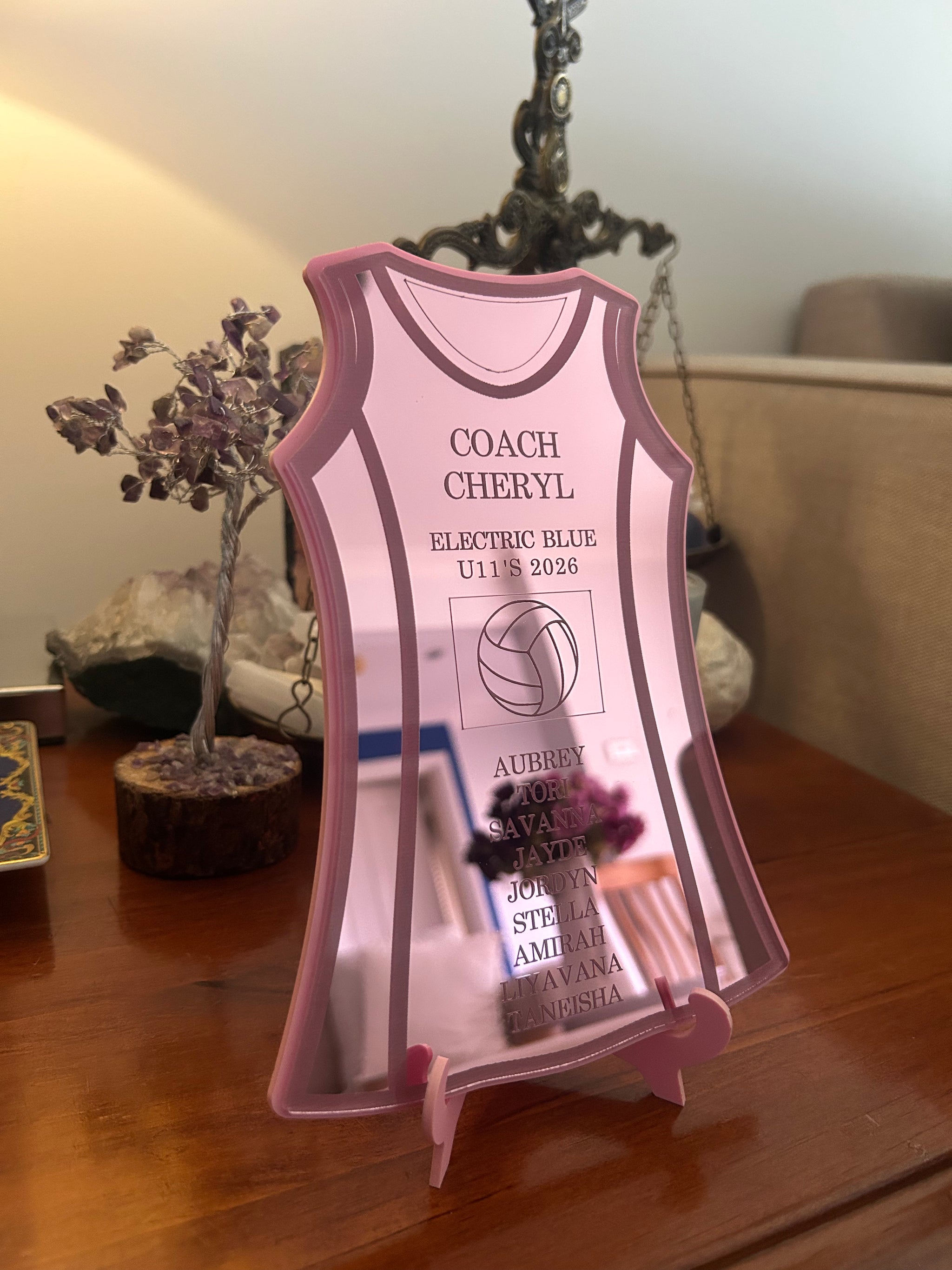 Netball Dress Coach Gift, photo 7