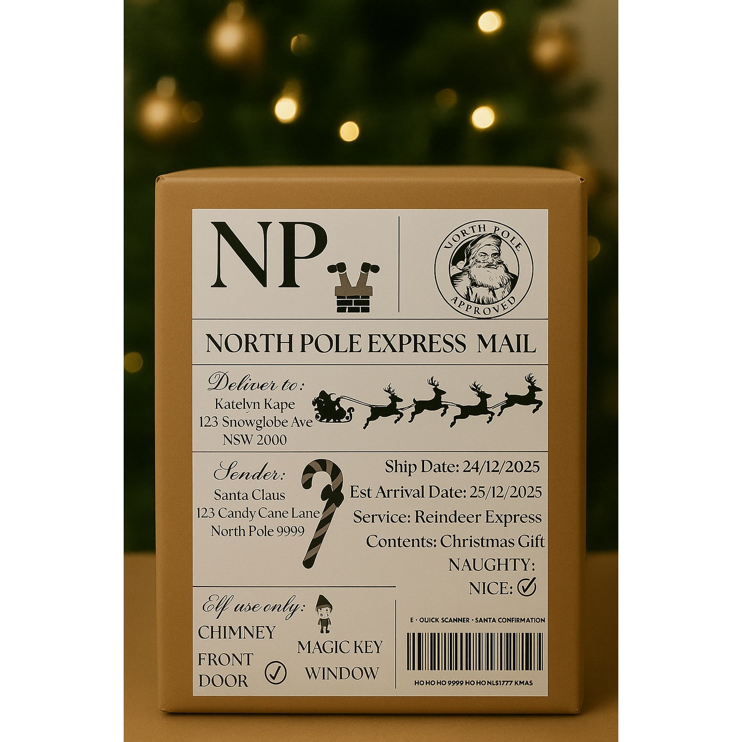 North Pole Express Mail Labels - Pk 6