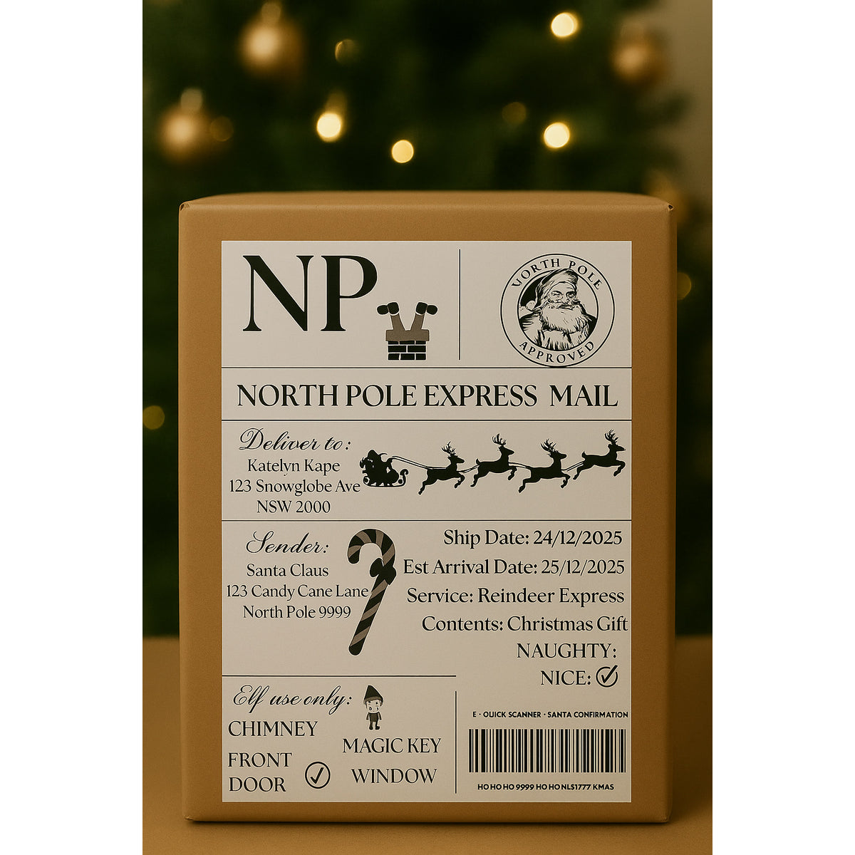 North Pole Express Mail Labels - Pk 6