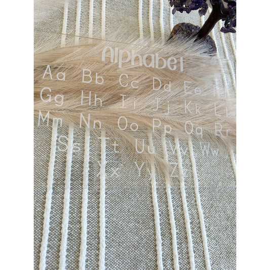 Alphabet Tracing Board