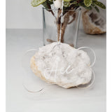 Acrylic Pet Bauble